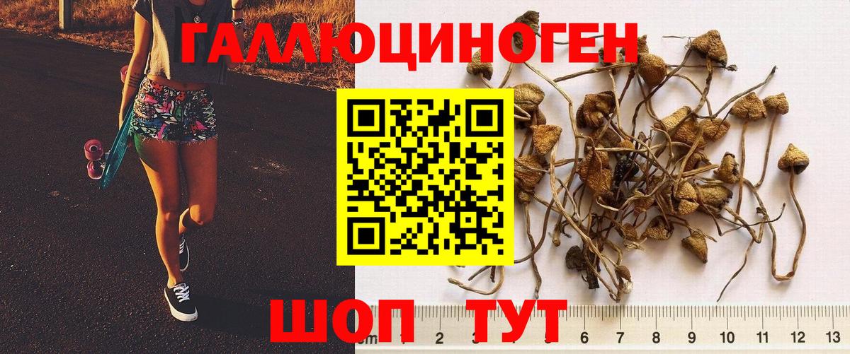Саров  Галлюциногенные грибы ЛСД  Вход с VPN 