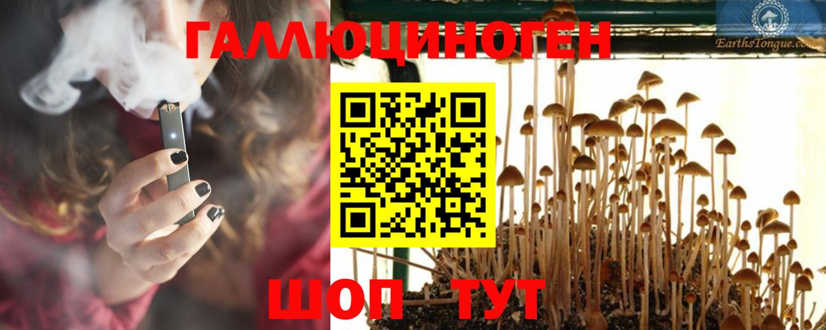 Галлюциногенные грибы Magic Shrooms Саров